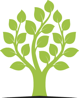 Branch Removal