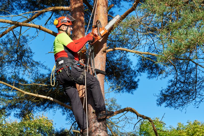 Climber Using Safety Gear