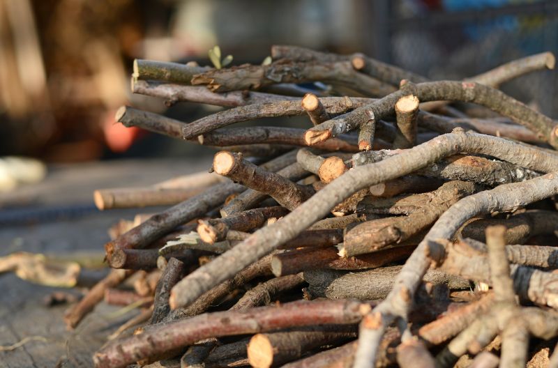 Healthy Tree Structure