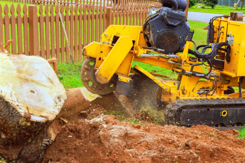 Commercial Stump Grinding in Doylestown, PA