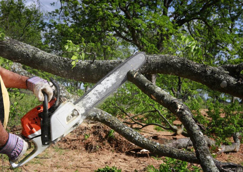 Products For Branch Removals in use