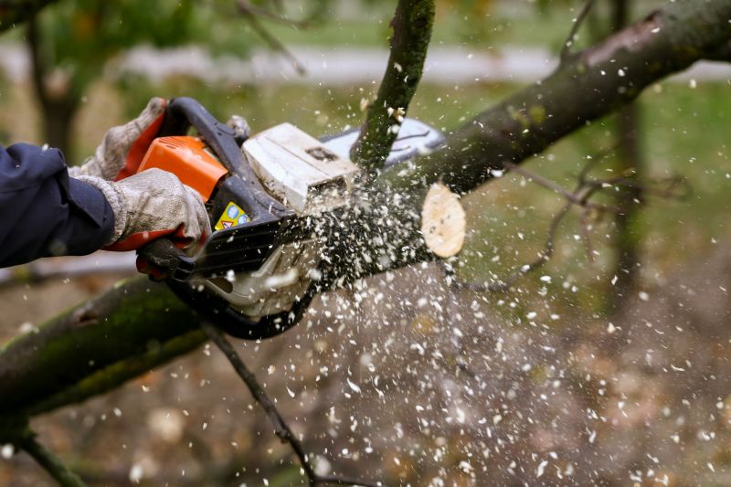 Branch Removal