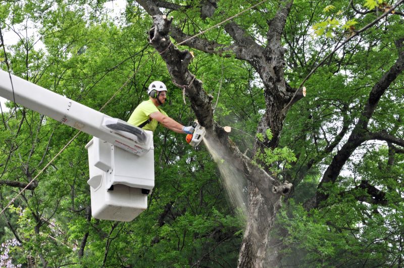 Prevent Damage to Structures